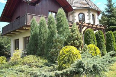 Apartament Falsztyn