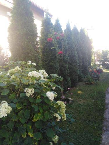 Bed and breakfast Suwałki County