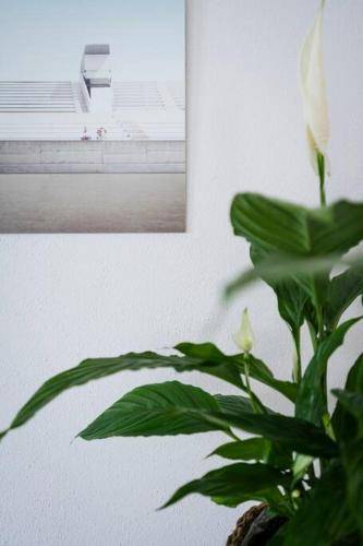 foto17