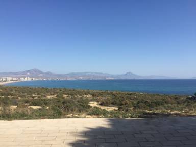 House Alicante