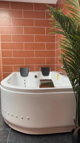 Appartement Tourcoing