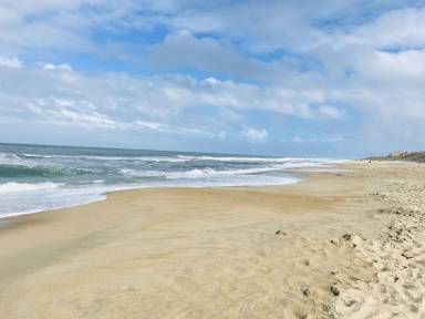 Apartment Kill Devil Hills