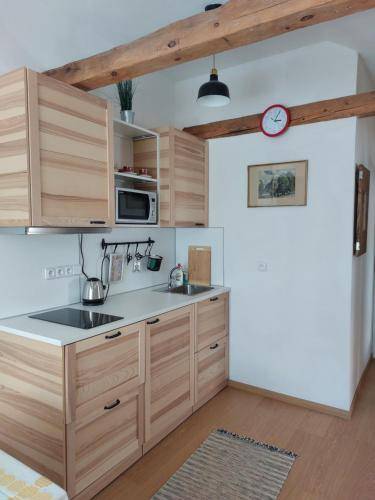 Apartmán Dlouhá Ves