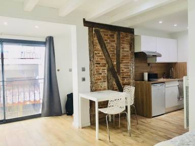 Apartment Kitchen Toulouse