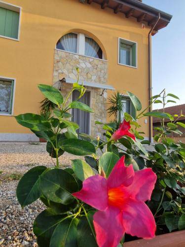 Bed & Breakfast Sommacampagna