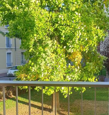 Ferienwohnung Saint-Germain-en-Laye
