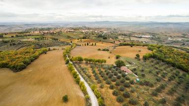 Apartment Balcony/Patio San Quirico d'Orcia