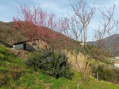 Appartamento Borzonasca