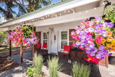 Cabin Yard Pinedale