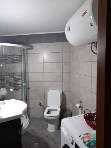 foto1