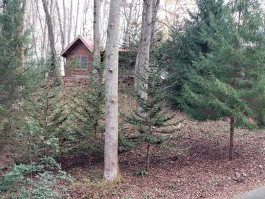 Cabin Pet-friendly Balsam