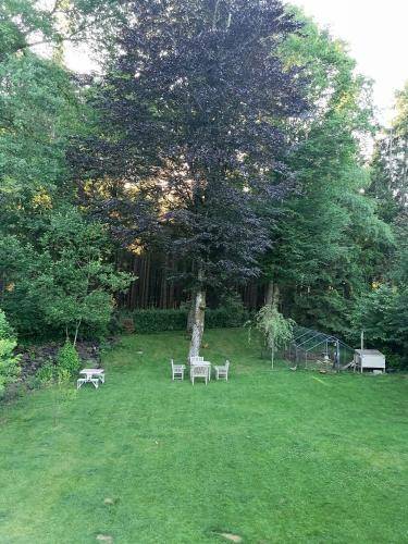 Holiday apartment | Dogs allowed — photo 2