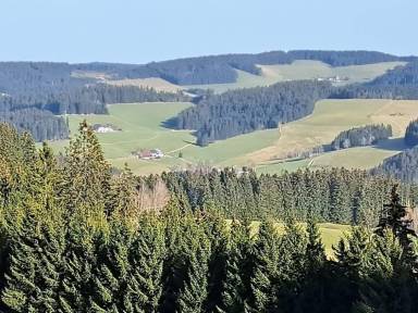 Appartement Titisee