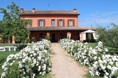 Bed and breakfast  Cesena