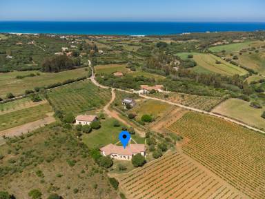 Appartamento con terrazza, griglia e giardino