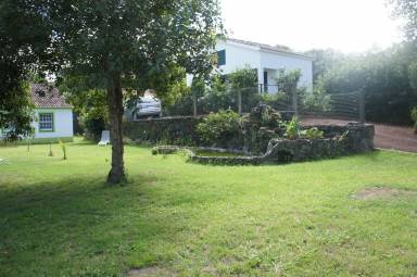 Apartment  Capelas