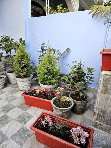 foto4