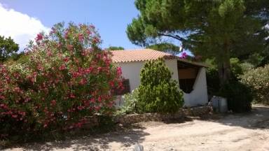 Casa  Rena Majore