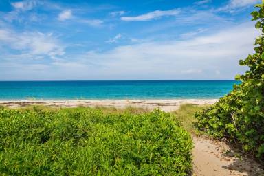 House Juno Beach