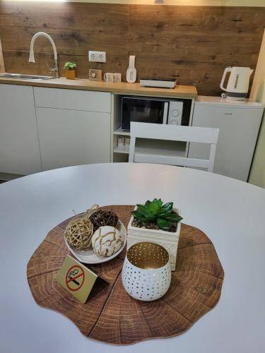 Apartment Pleven Center