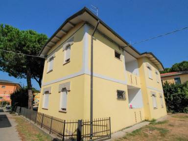 Apartament Rosapineta