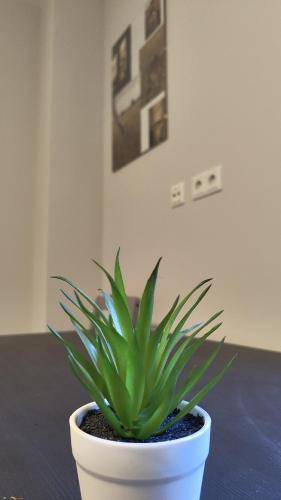 Ferienwohnung Schwarzenbek