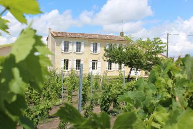 Maison de vacances Saint-Émilion