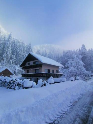 Apartma  Planica