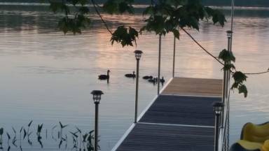 Cottage Eastbrook