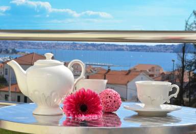 Apartment Bristivica
