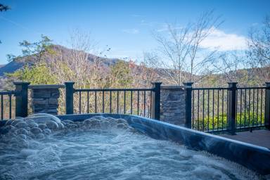 House Lake Lure