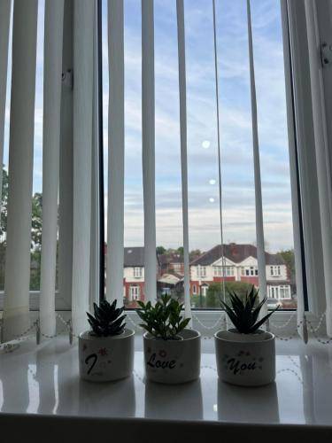 Apartment Sale