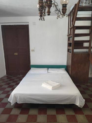 foto19