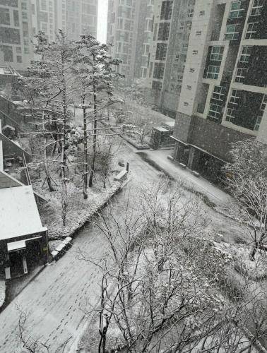 foto18