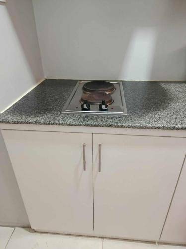 Wonderful serviced apartment | Pets are welcome in Quezon City