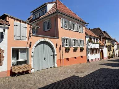 Ferienwohnung  Rhodt unter Rietburg