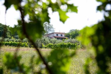 Camera privata San Giorgio del Sannio