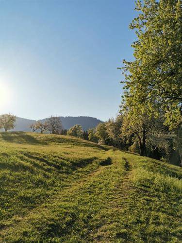 Apartma Topolšica