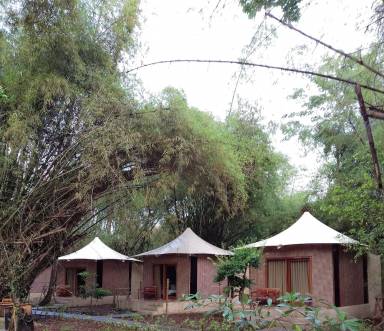 Bed and breakfast  Purworejo