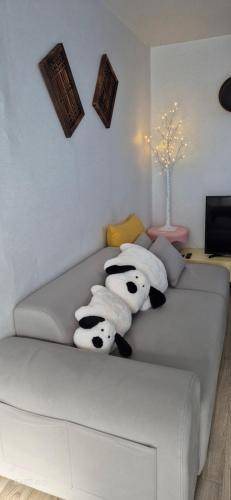 foto21