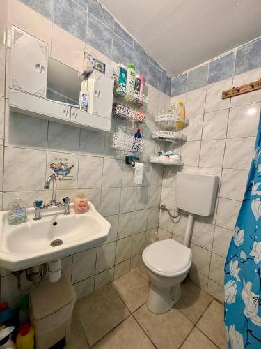 foto1