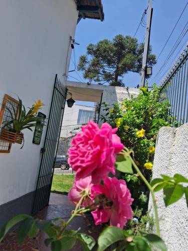 foto9