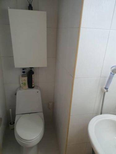 foto12