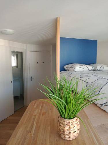 Appartement Ancenis