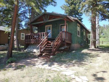 Cabin Nederland
