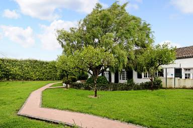 60 m² Lodge