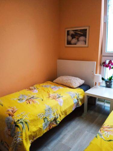 Hostel  Anin