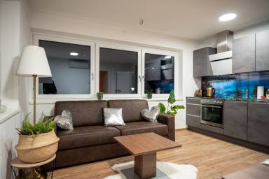 Apartment Air conditioning Niedernsill