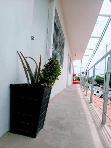 Bed & Breakfast Los Mochis