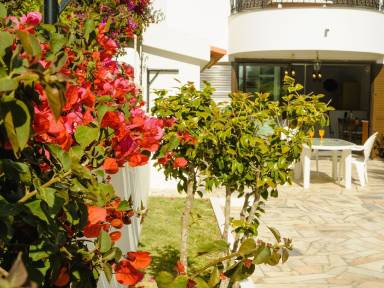 Appartement 50 m²